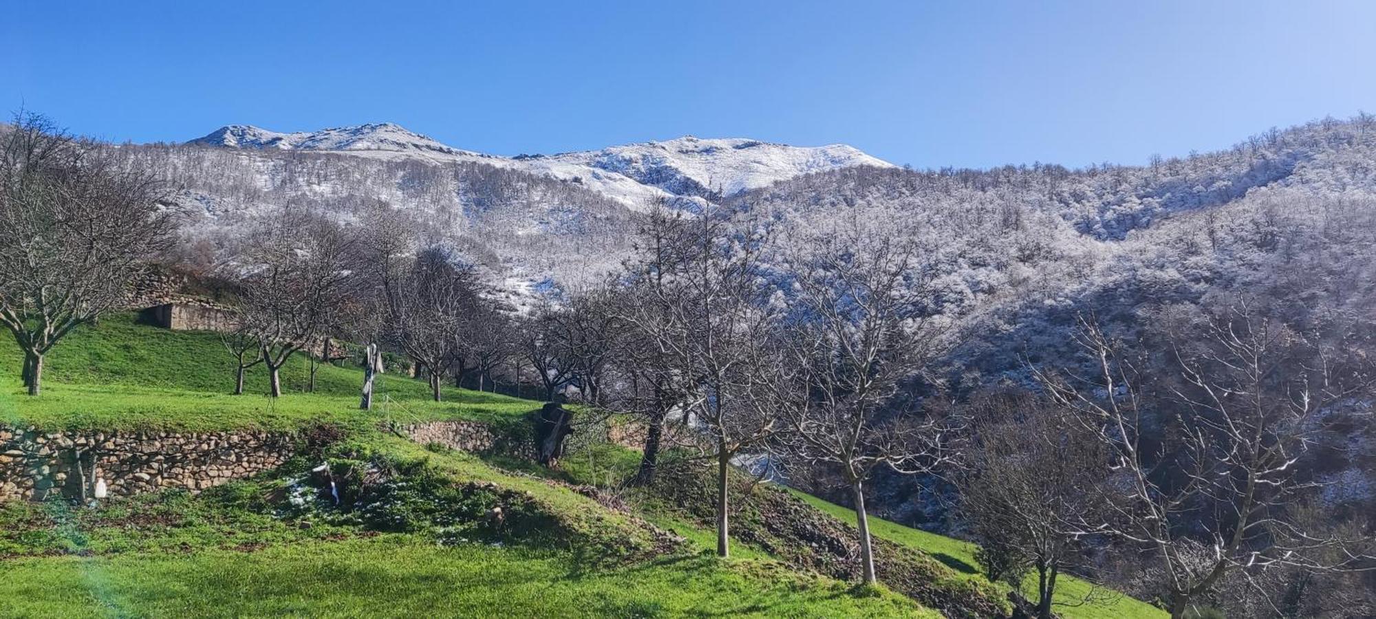 Nuestra Casa De Luriezo Villa Cabezón de Liébana Екстериор снимка