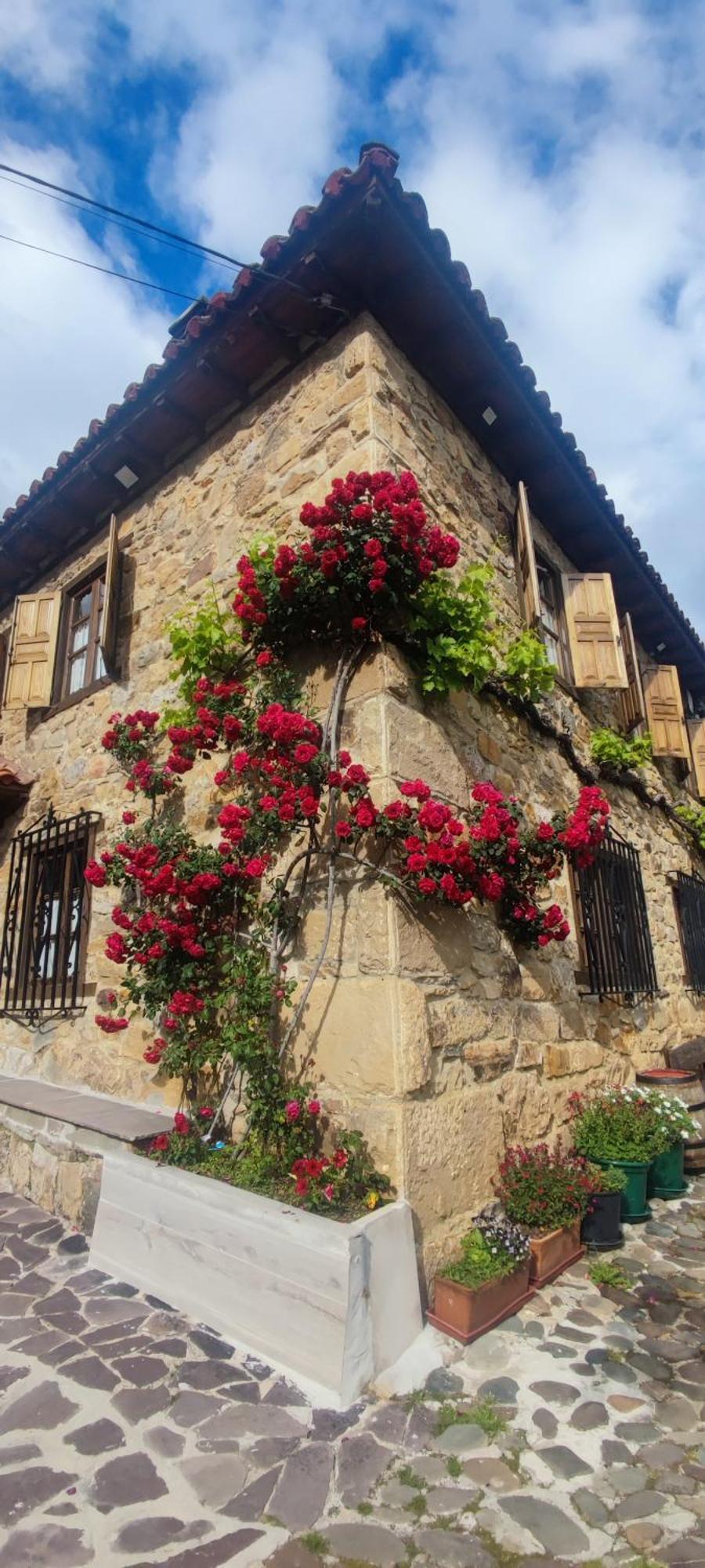 Nuestra Casa De Luriezo Villa Cabezón de Liébana Екстериор снимка